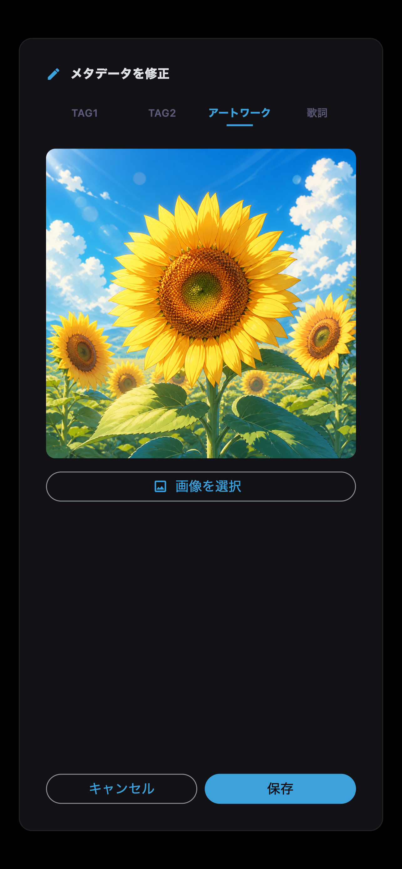 アートワークタブを開いたメタデータ編集画面
