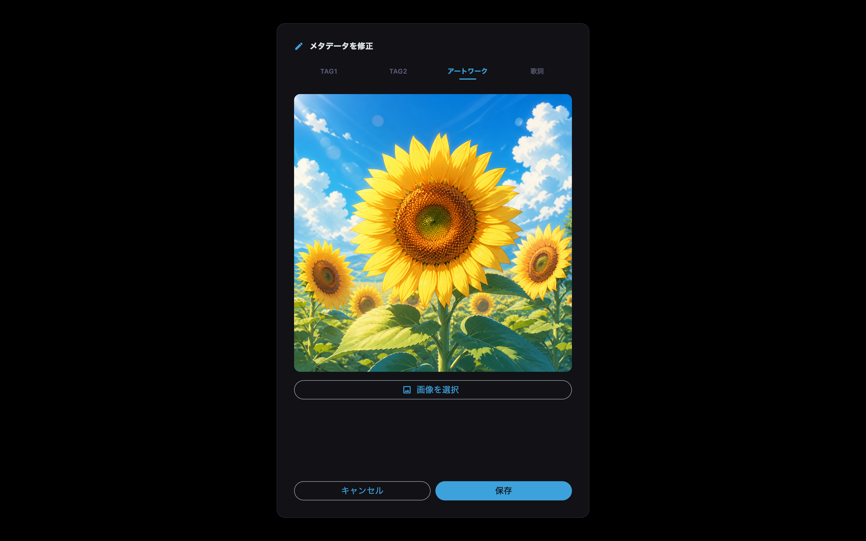 アートワークタブを開いたメタデータ編集画面